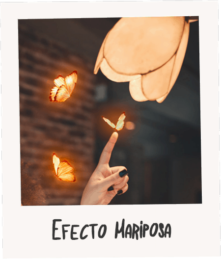 Efecto Mariposa